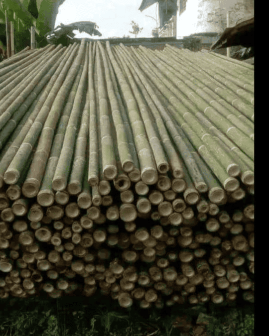 distributorkayujakarta2