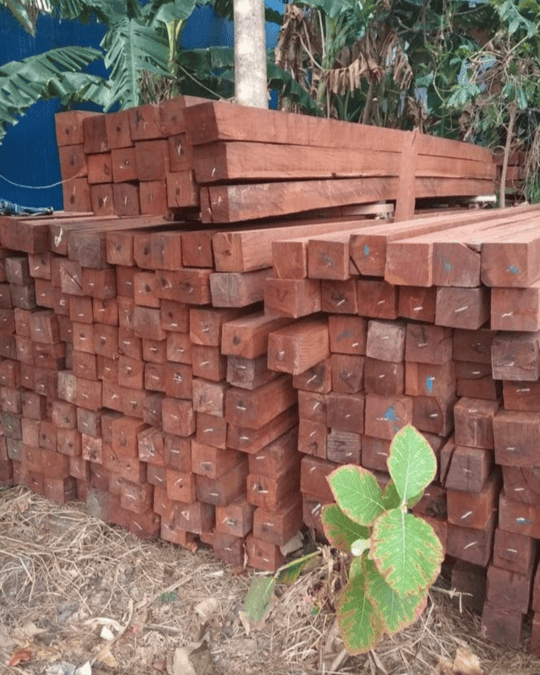 distributorkayujakarta5