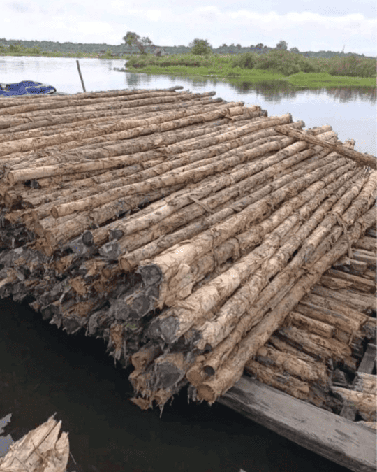 distributorkayujakarta8